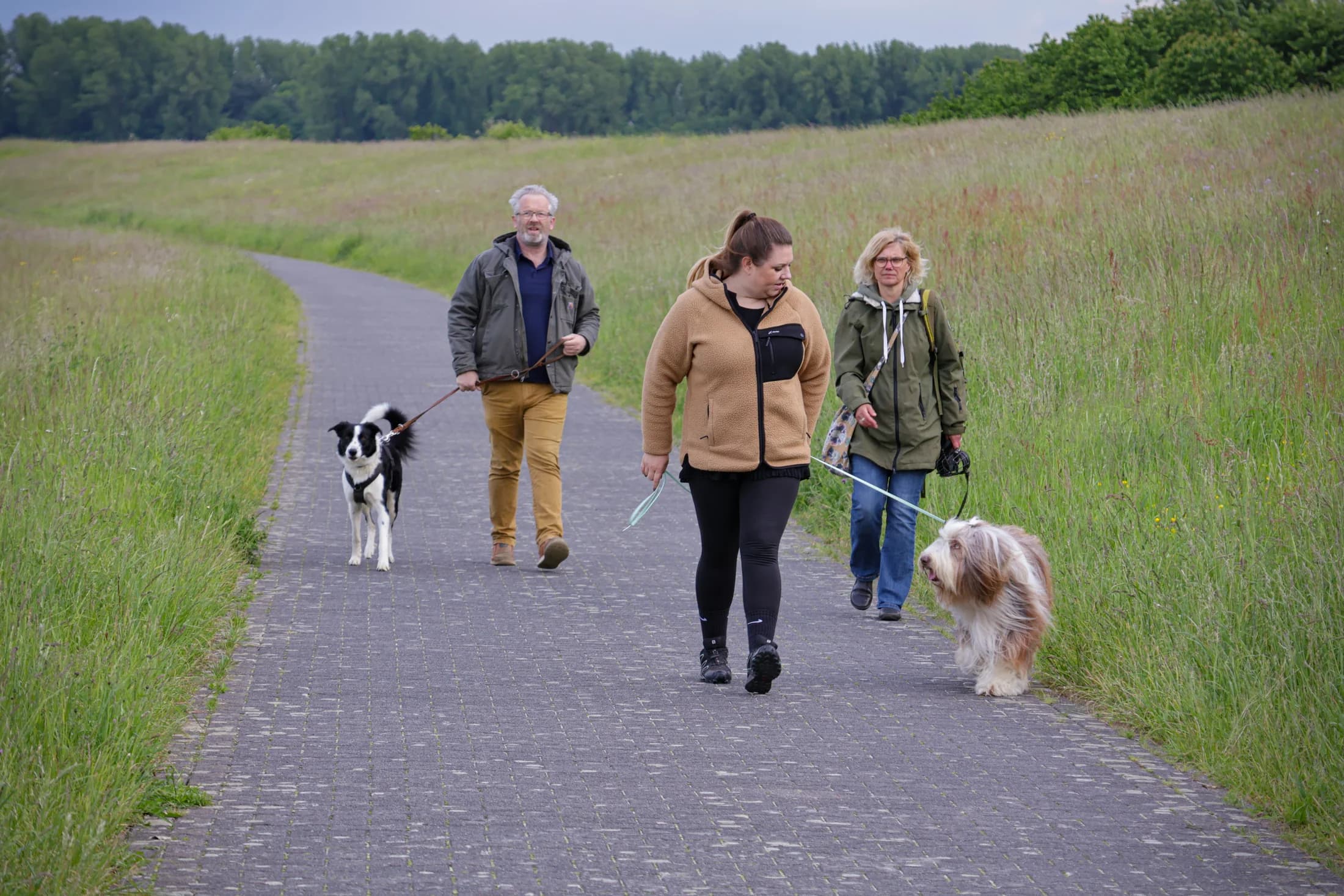 Laura unterwegs mit Hunden auf einem Feldweg