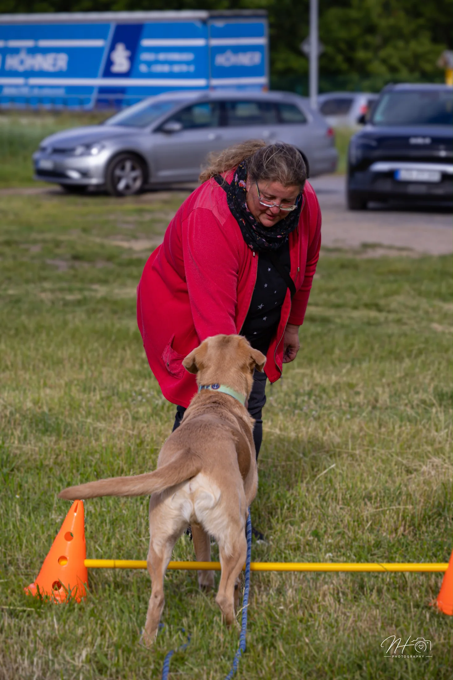 Trainerin gibt einem Labrador ein Handzeichen an den Slalomstangen