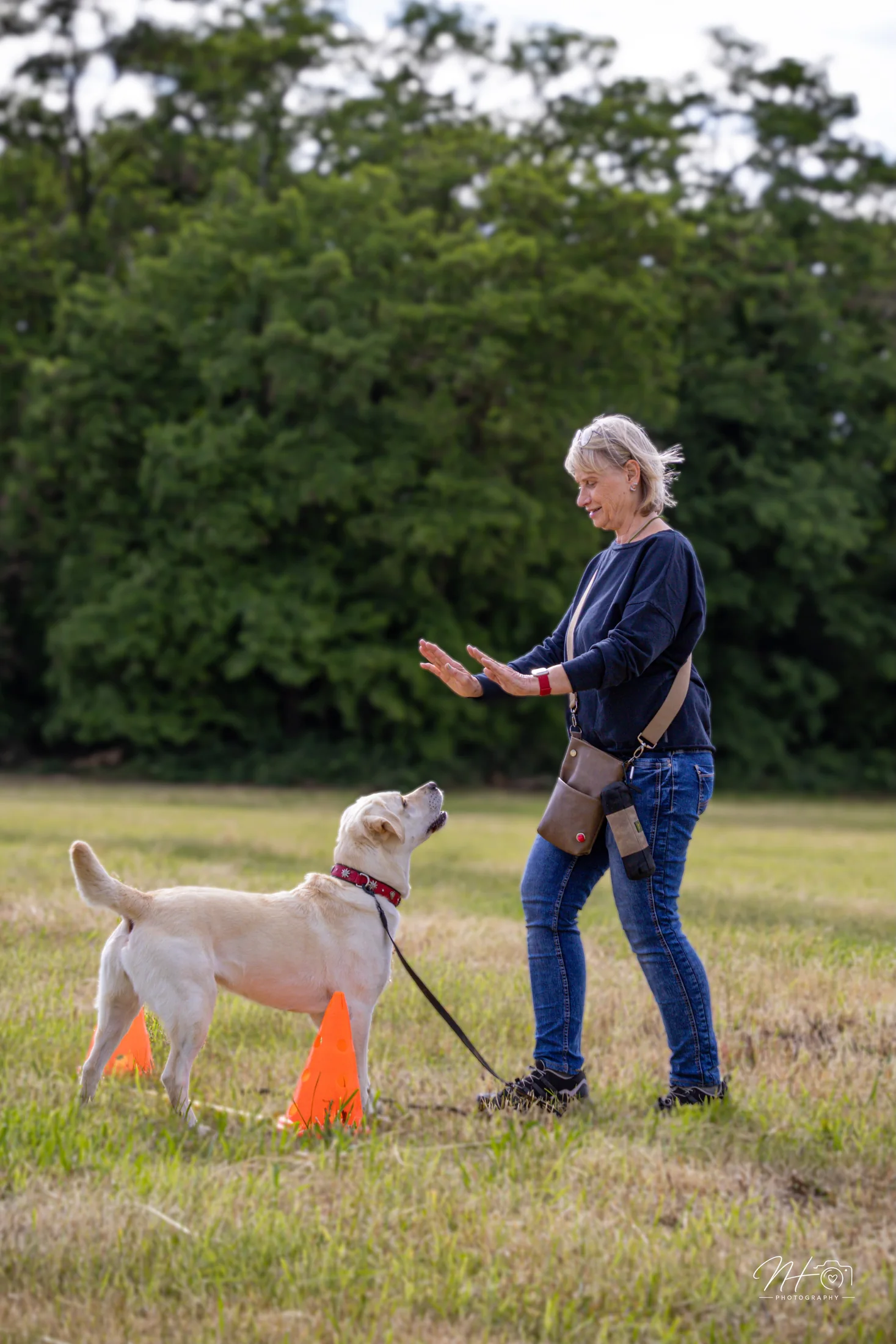 Trainerin gibt einem Hund ein Handzeichen im Training